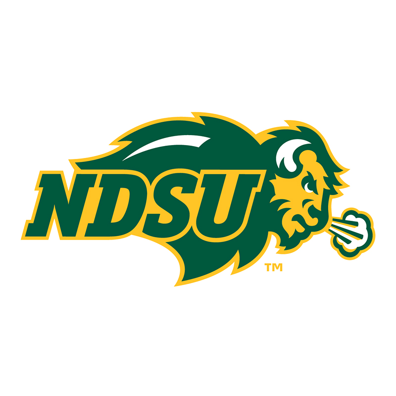 North Dakota State Bison iron ons